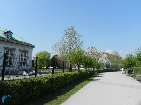blog_running_augarten_04