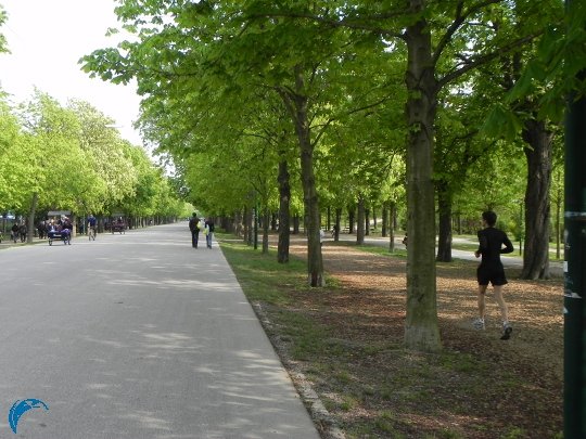 blog_running_prater_02