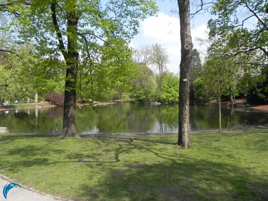 blog_running_stadtpark_04